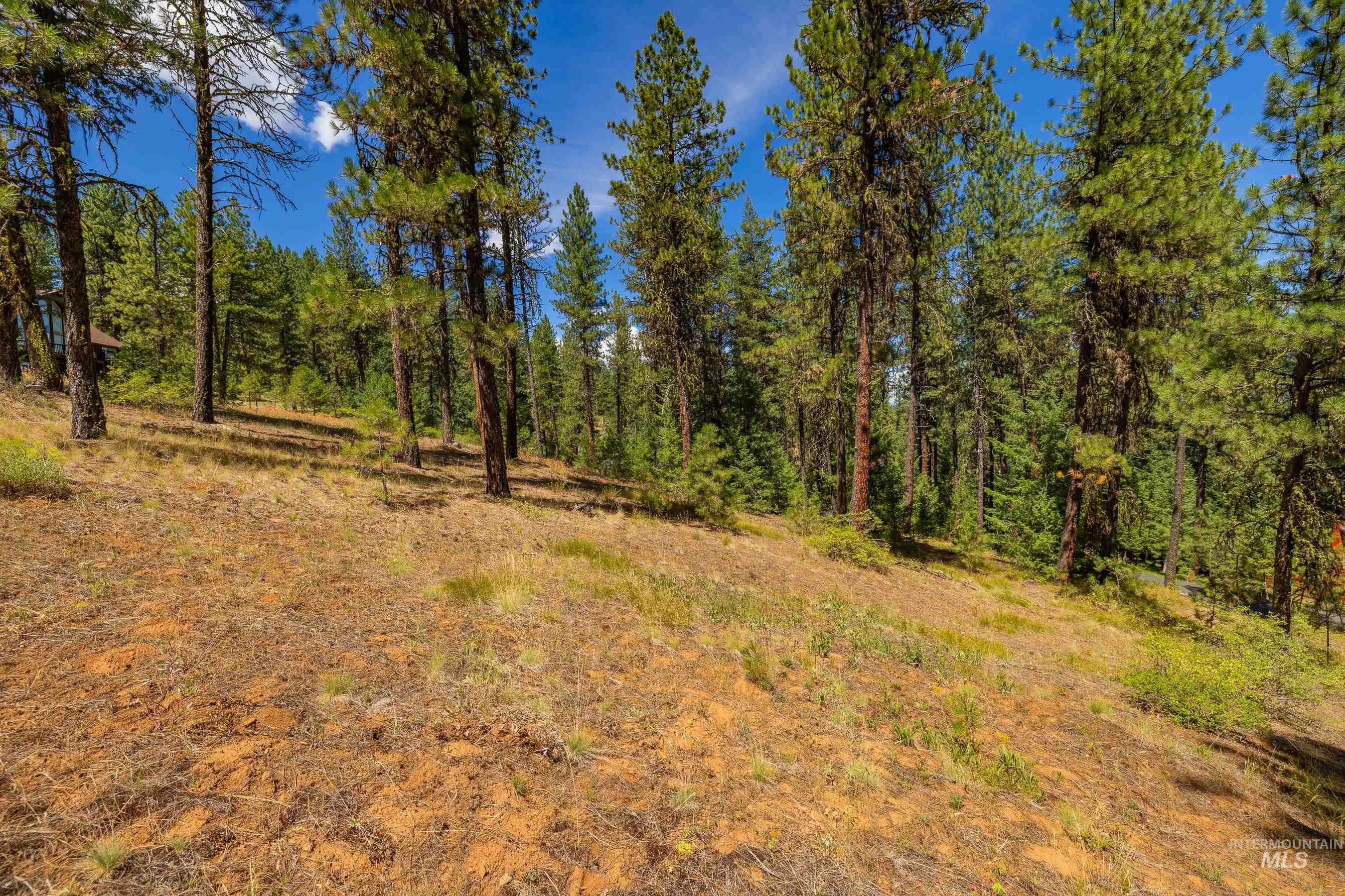 Tbd Syringa Drive New Meadows, ID 83654 - Photo 10 of 29 View of wooded area