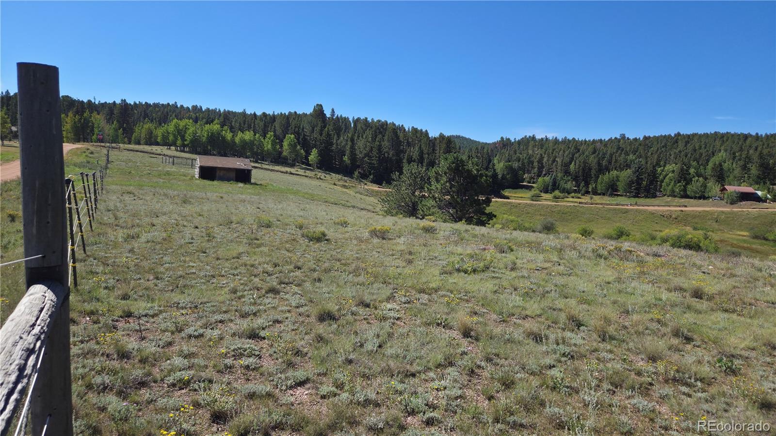 99 Uintah Ridge Road Florissant, CO 80816 - Photo 9 of 34 Gallery Image 9