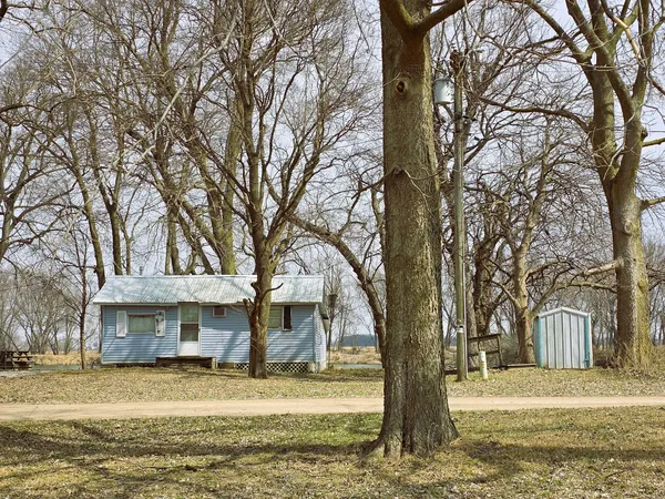 a view of a large trees next to a large tree