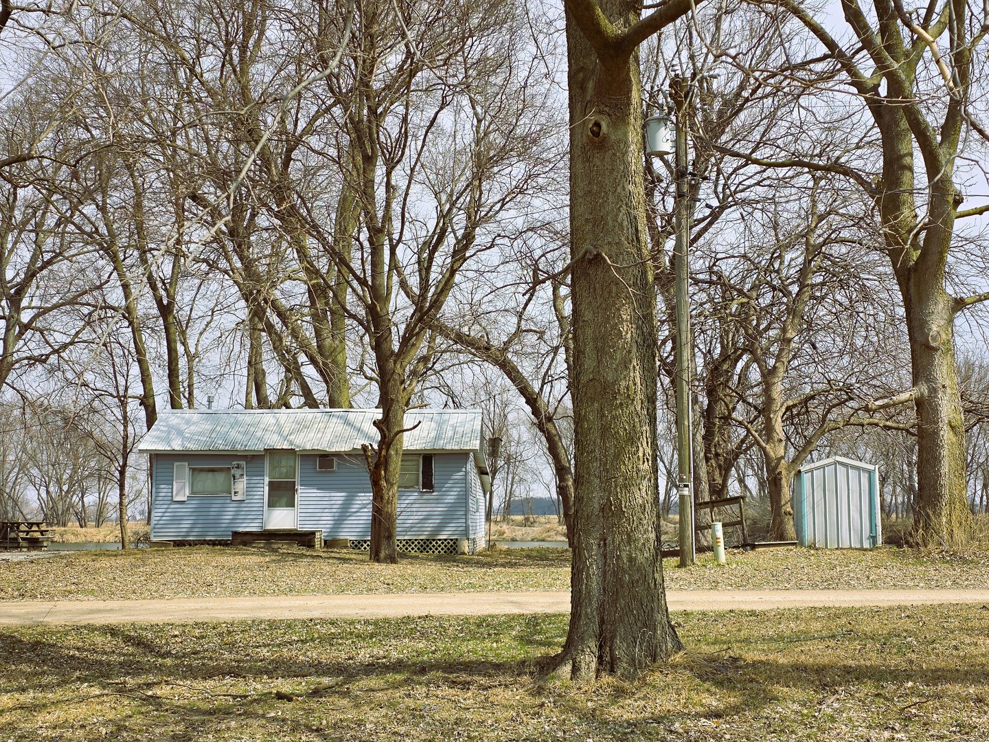 13420 Howard Road Prophetstown, IL 61277 - Photo 9 of 16 a view of a large trees next to a large tree