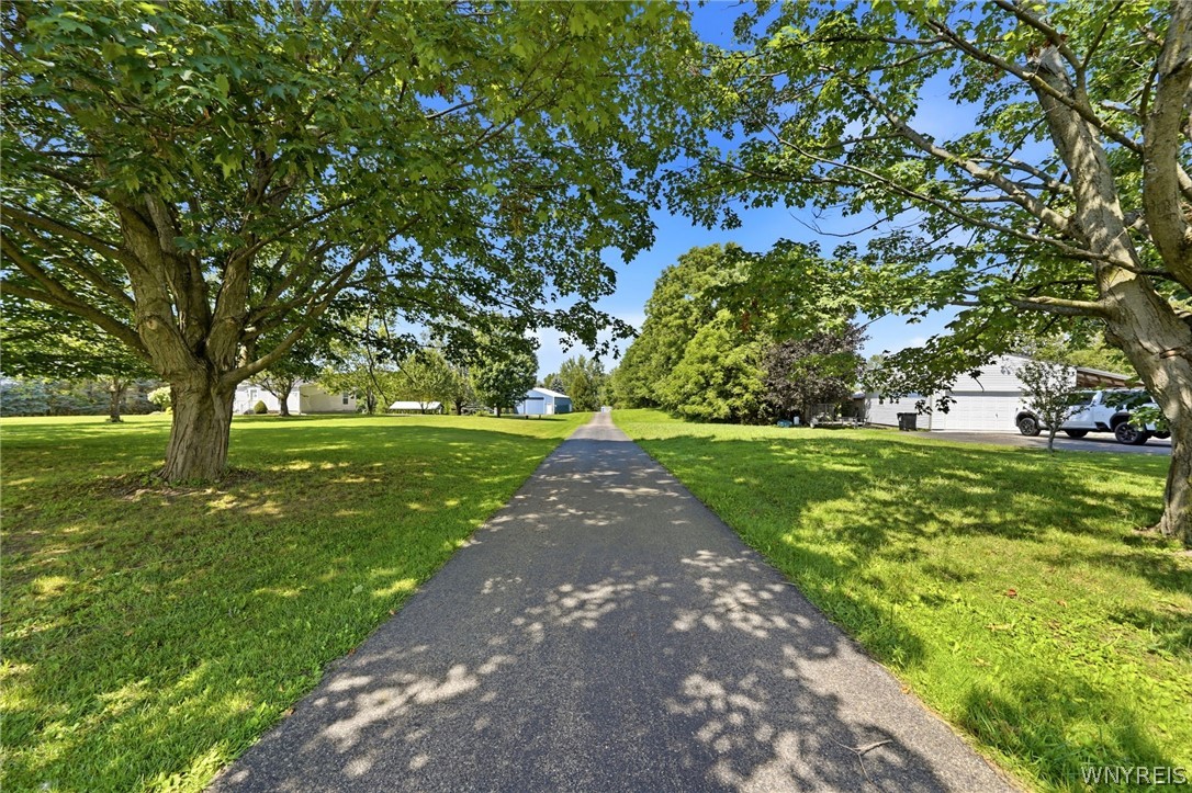 2328 Gowanda Zoar Road Collins, NY 14070 - Photo 2 of 50 Gallery Image 2