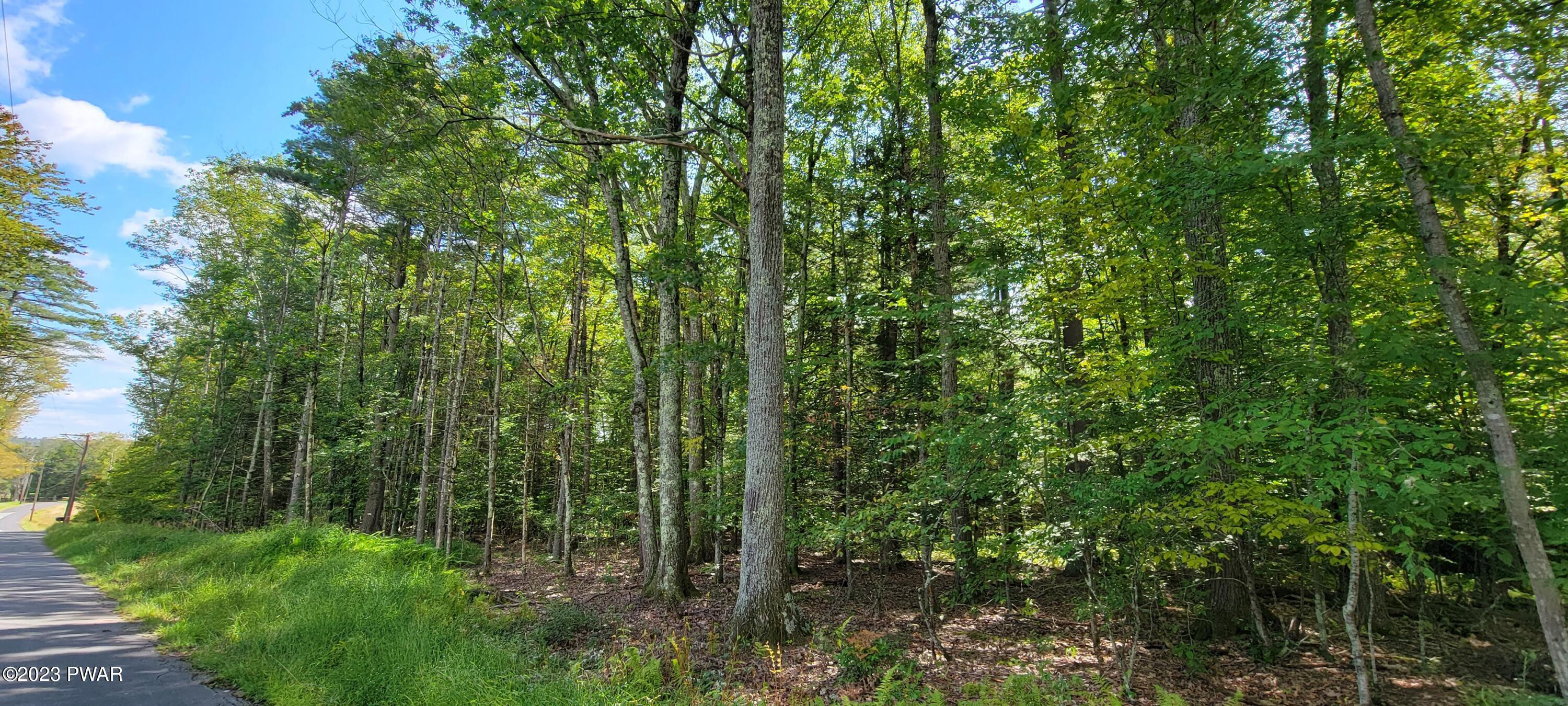 Lot #21 Mohn Road Narrowsburg, NY 12764 - Photo 7 of 9