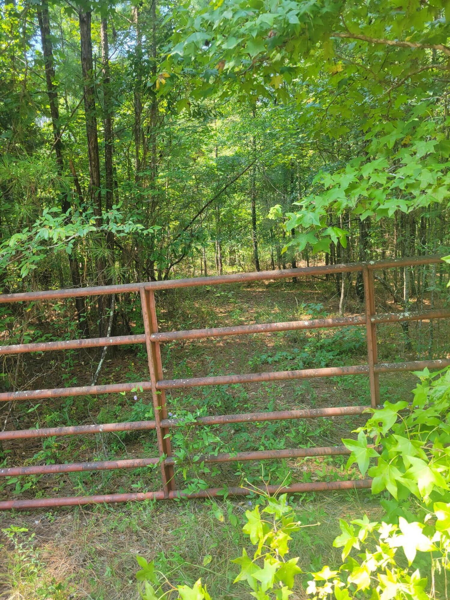0 Bumpus Road Appling, GA 30802 - Photo 3 of 8 20230824_121754