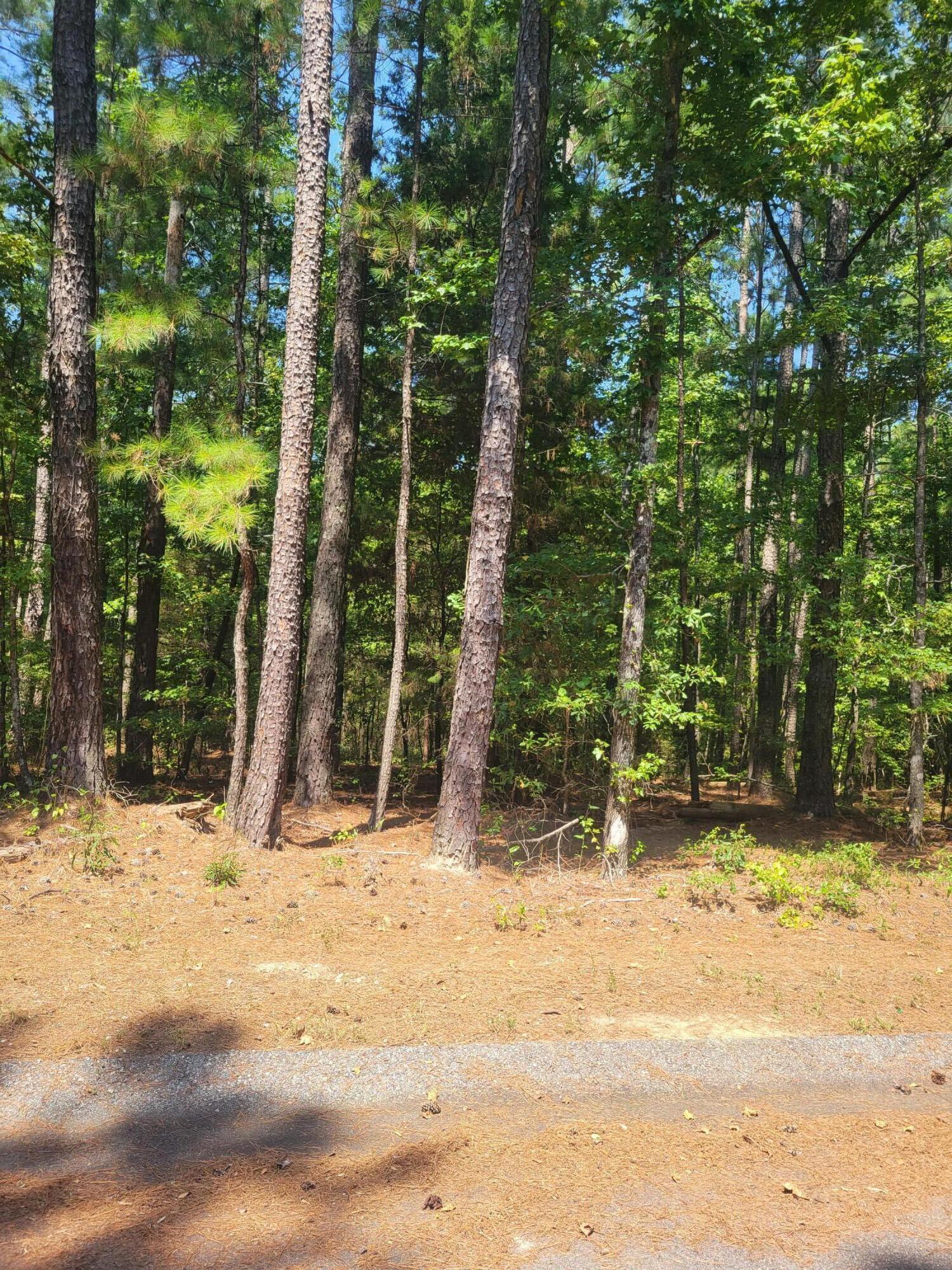 0 Bumpus Road Appling, GA 30802 - Photo 4 of 8 20230824_121846