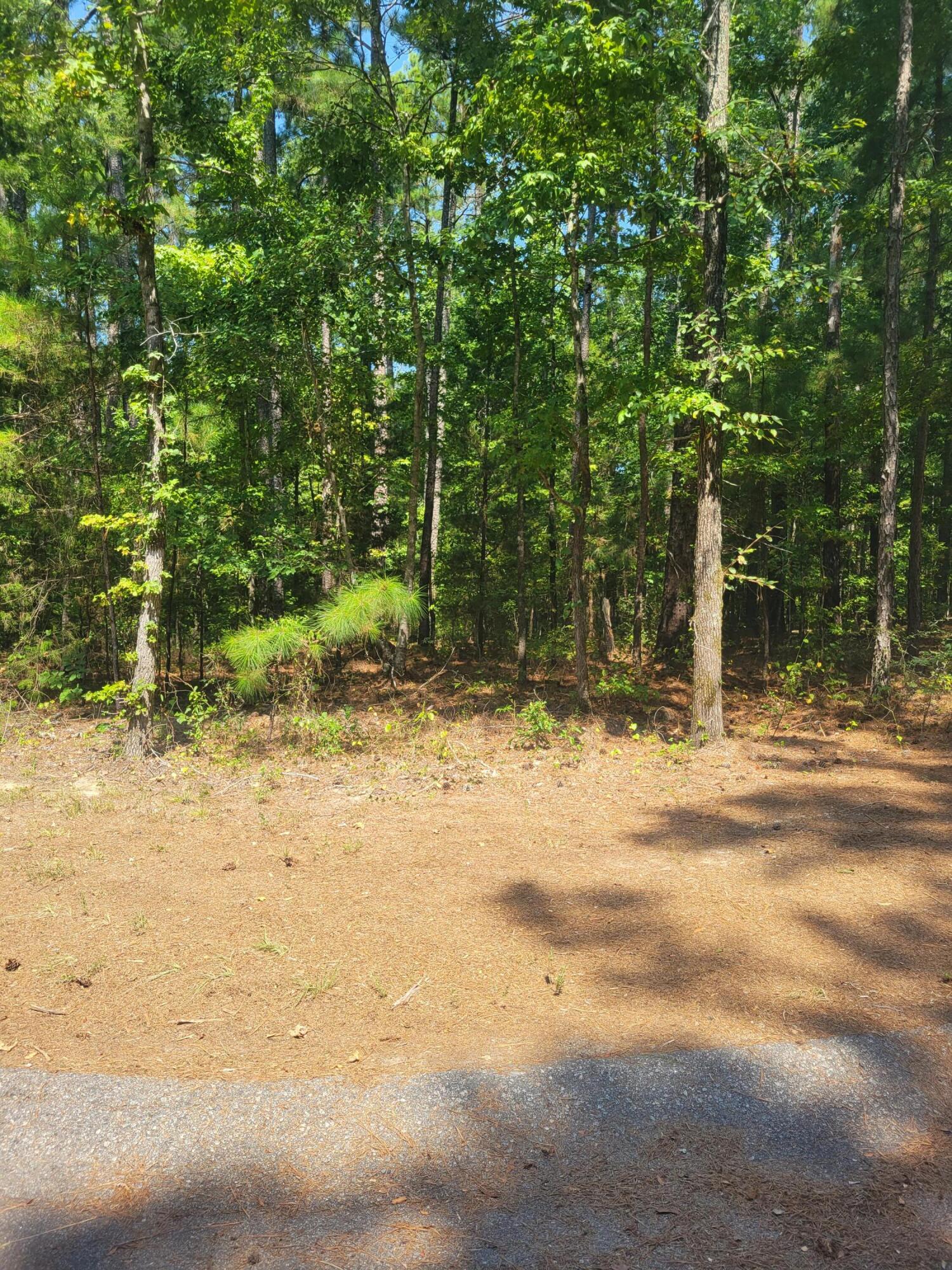 0 Bumpus Road Appling, GA 30802 - Photo 5 of 8 20230824_121732