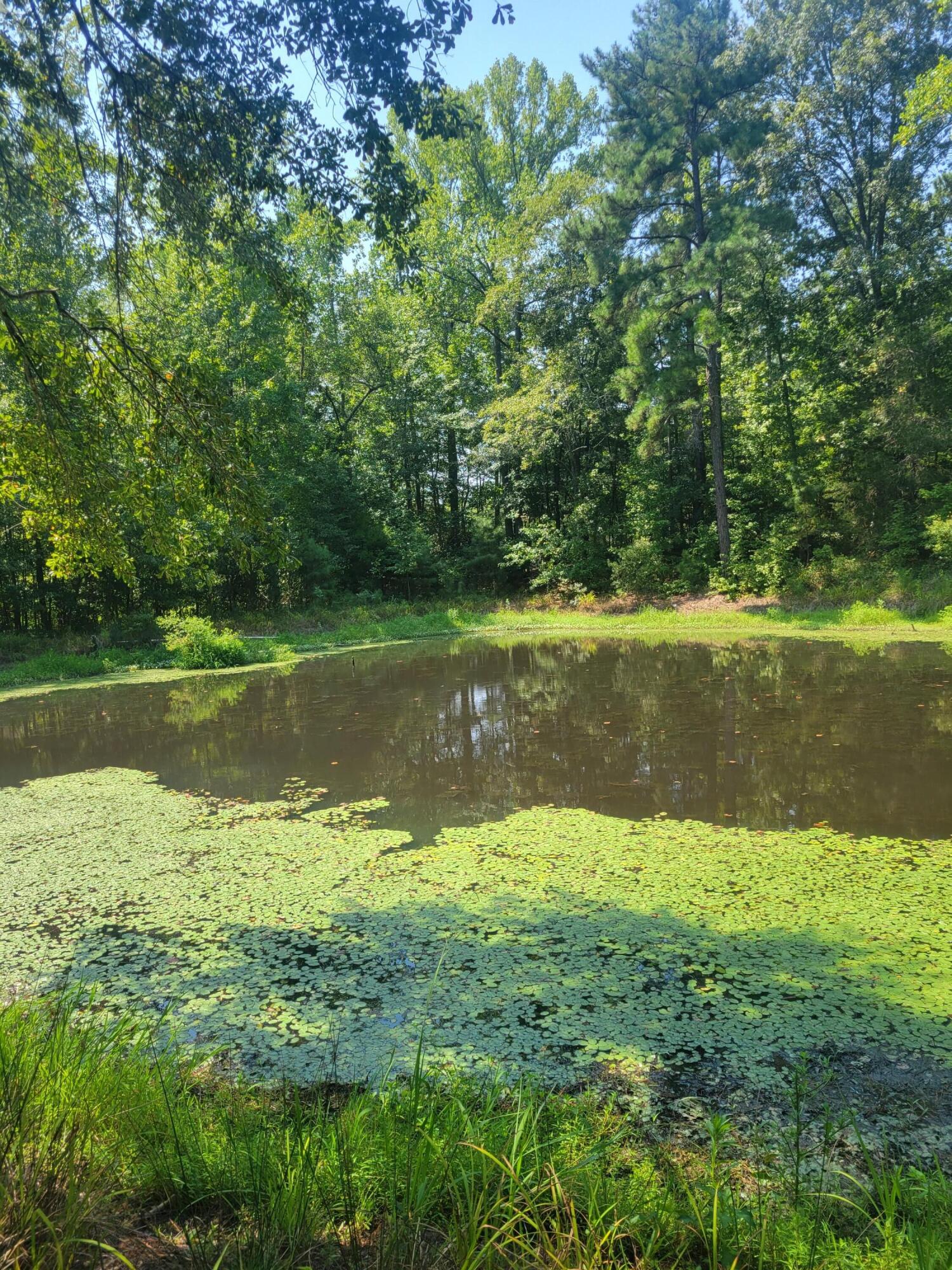 0 Bumpus Road Appling, GA 30802 - Photo 6 of 8 20230824_121344
