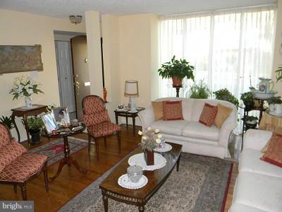 8048 Inverness Ridge Road Potomac, MD 20854 - Photo 16 of 22 Living Room