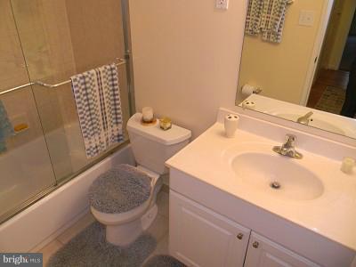 8048 Inverness Ridge Road Potomac, MD 20854 - Photo 20 of 22 Bath