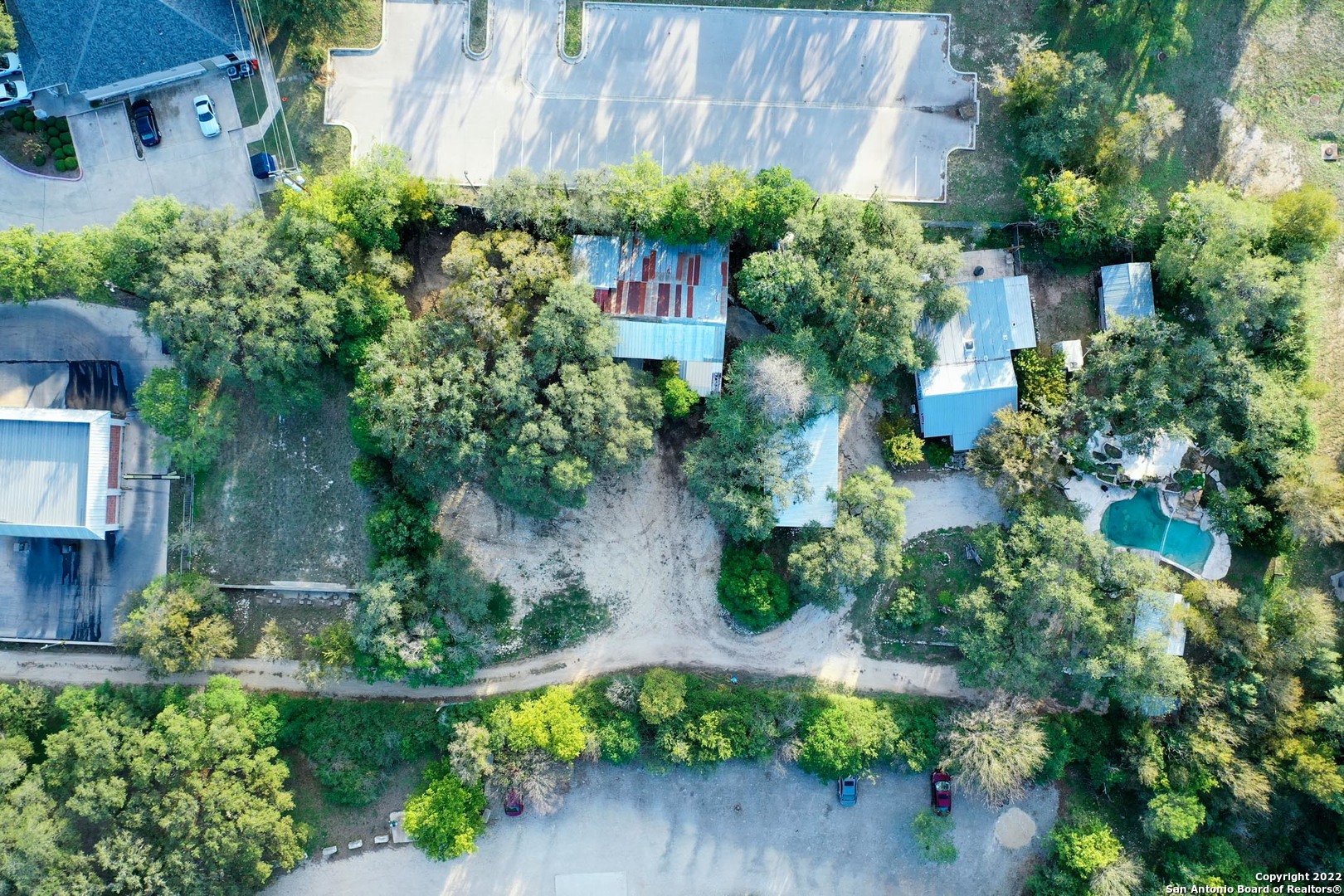 a plant that is in a garden