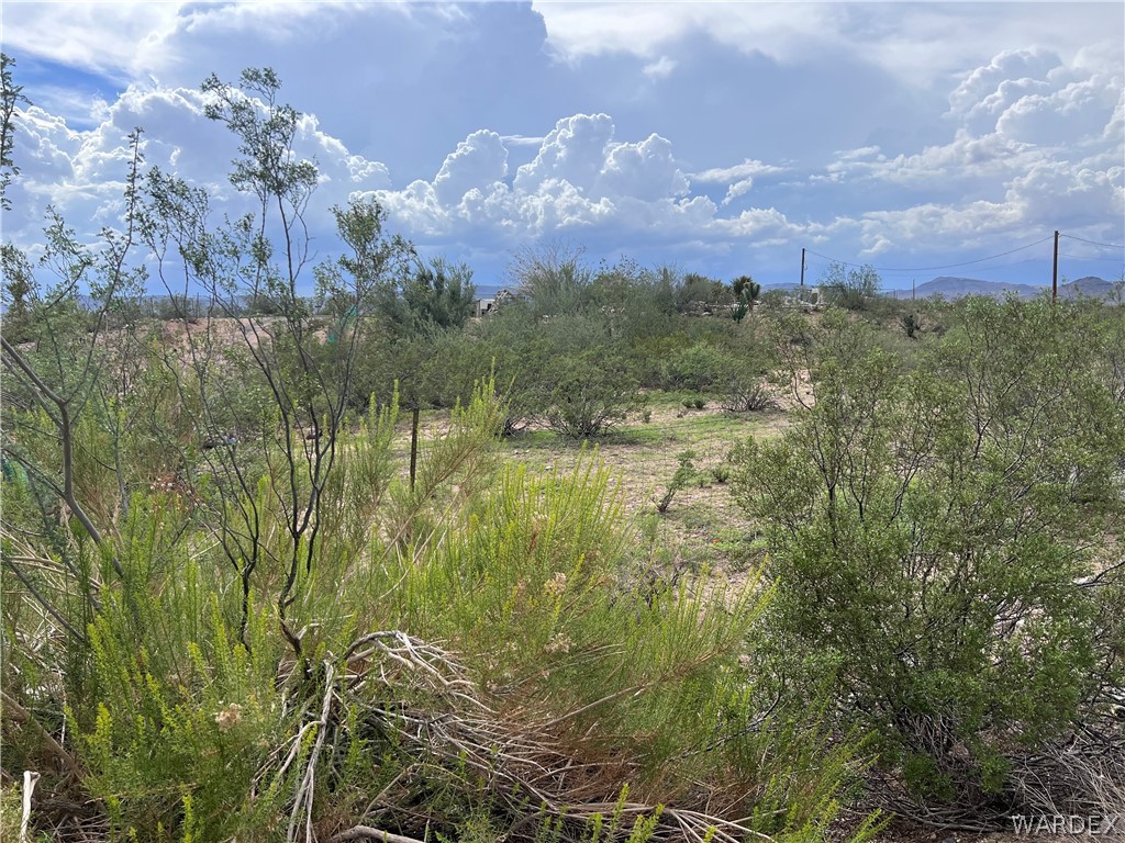 4691 Estrella Road Golden Valley, AZ 86413 - Photo 7 of 11 Gallery Image 7