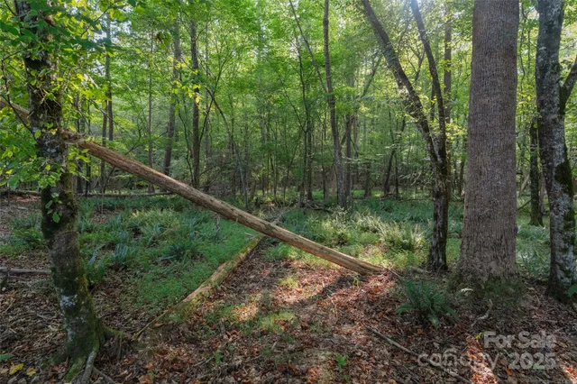 $299,000 | 1017 South Oakshire Lane, Unit 5, Waxhaw, NC 28173