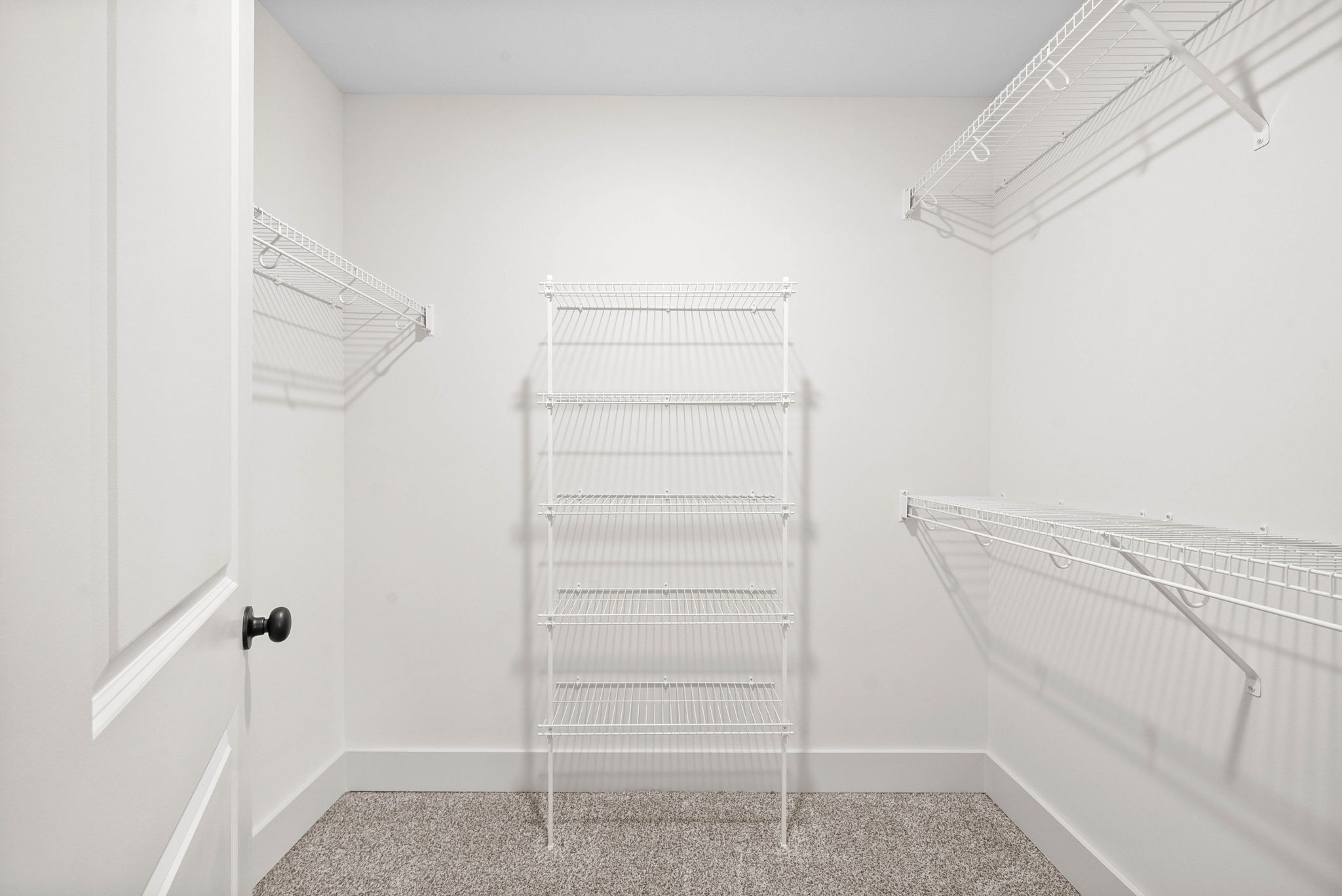 193 Dewberry Road Clarksville, TN 37042 - Photo 20 of 30 a view of walk in closet with empty racks