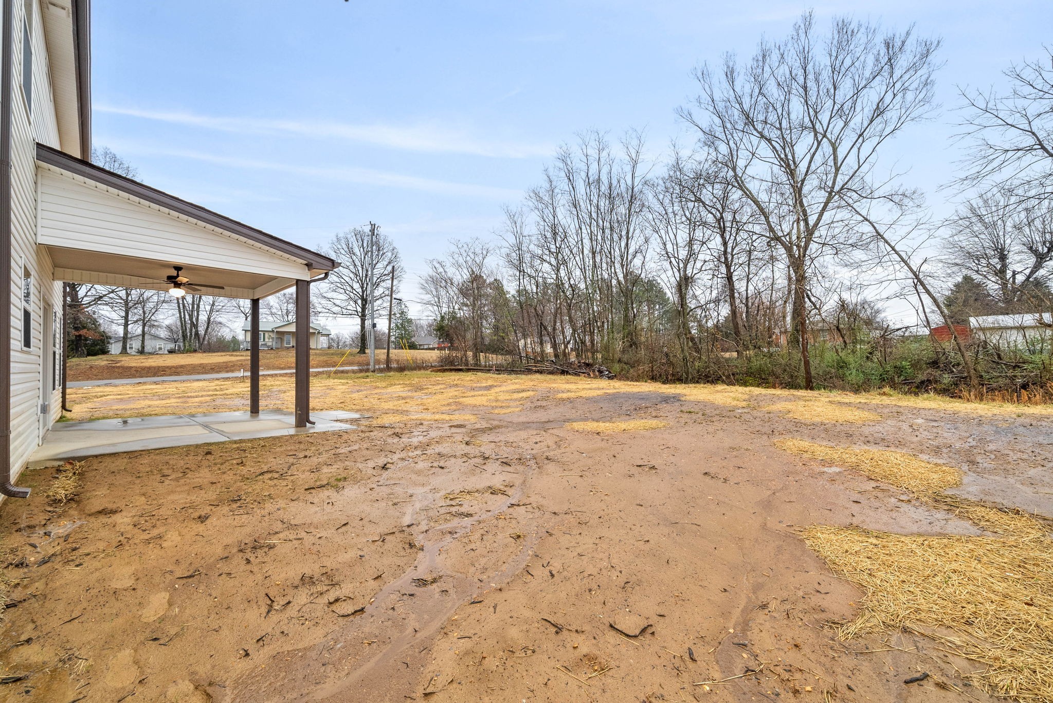 193 Dewberry Road Clarksville, TN 37042 - Photo 28 of 30 a view of yard with tree