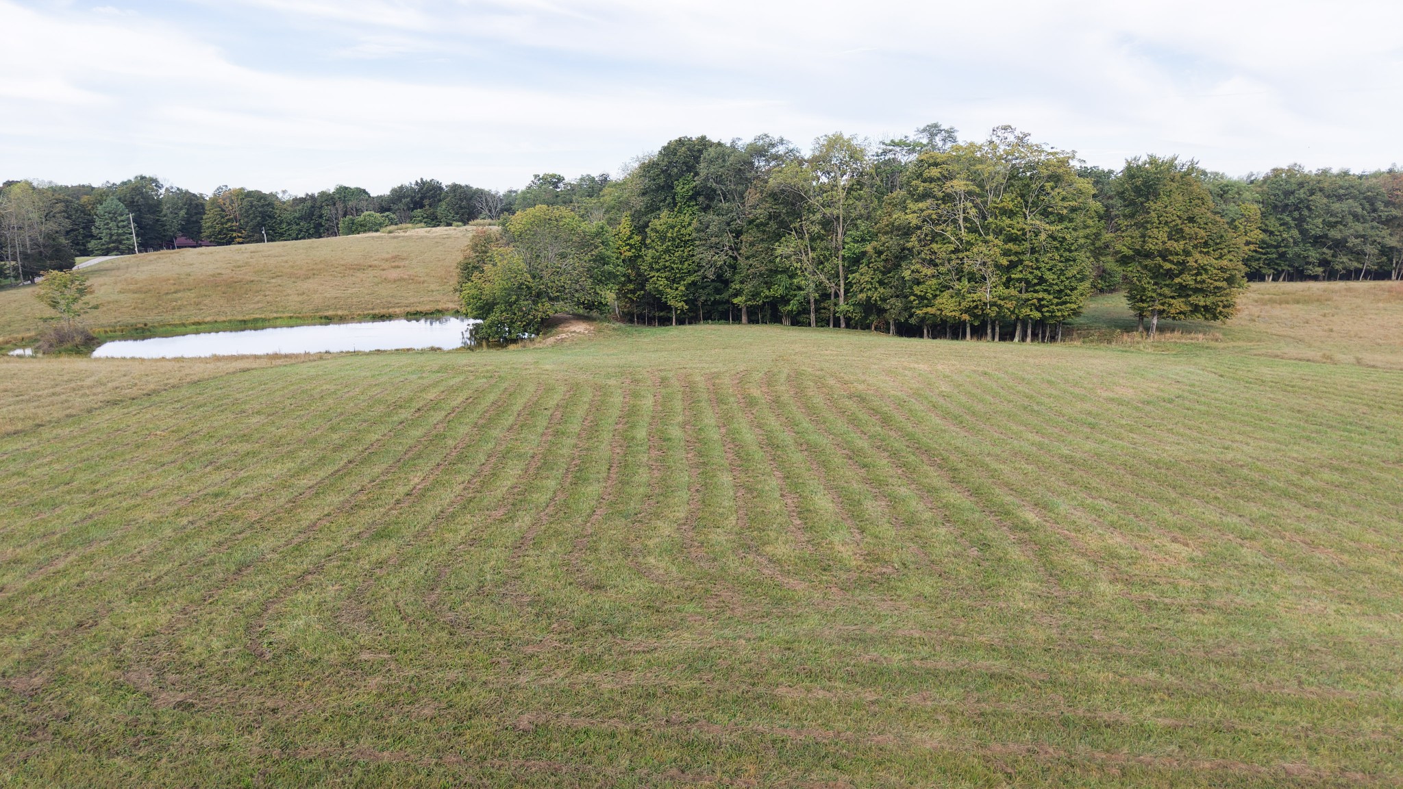 0 White Oak Flatt Road Sparta, TN 38583 - Photo 3 of 16 Gallery Image 3