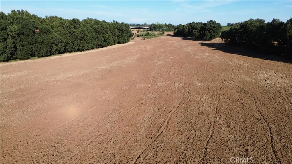 0 Hwy 70 Gridley Ca Gridley, CA 95948 - Photo 4 of 10 a view of a field with a tree in the background