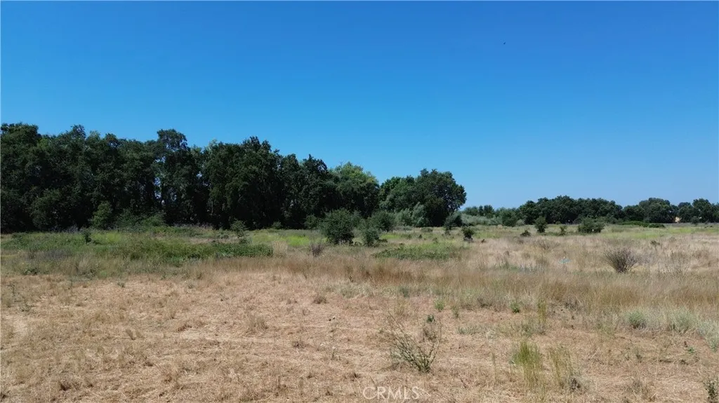0 Hwy 70 Gridley Ca Gridley, CA 95948 - Photo 10 of 10 a view of a field with trees in the background
