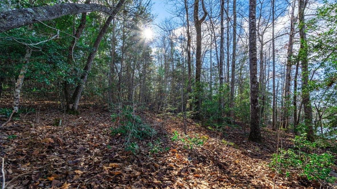 0 Mauldin Lake Road Pickens, SC 29671 - Photo 11 of 25