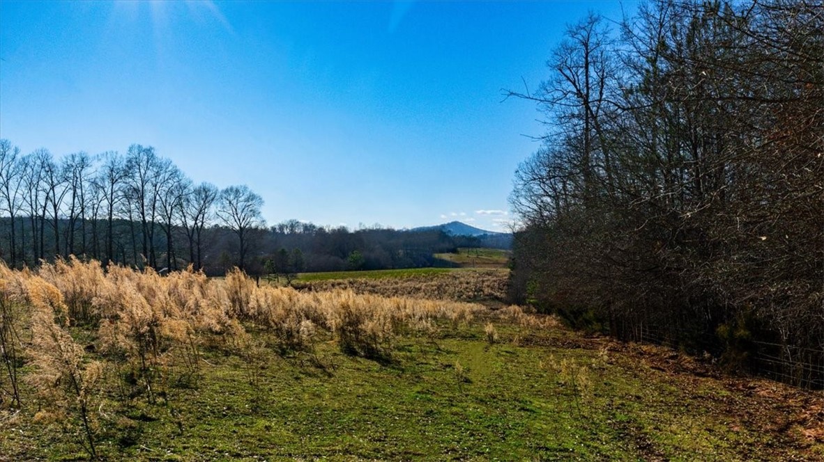0 Mauldin Lake Road Pickens, SC 29671 - Photo 24 of 25