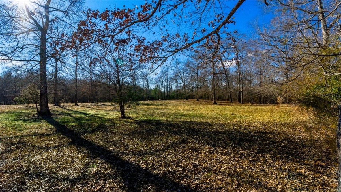 0 Mauldin Lake Road Pickens, SC 29671 - Photo 4 of 25