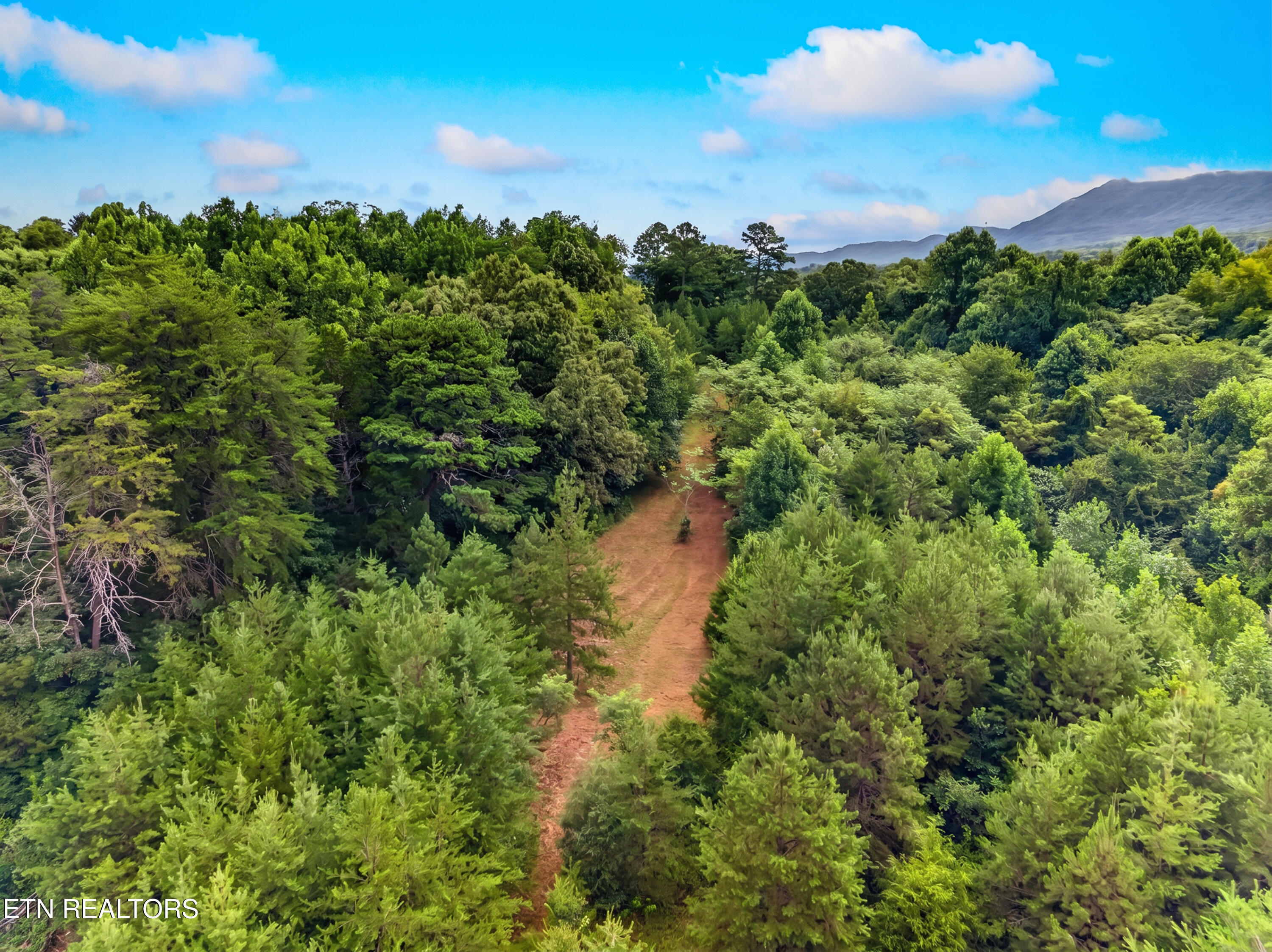 420 Blowing Cave Road Sevierville, TN 37876 - Photo 6 of 40 039-420BlowingCaveRoad-Sevierville-TN-37