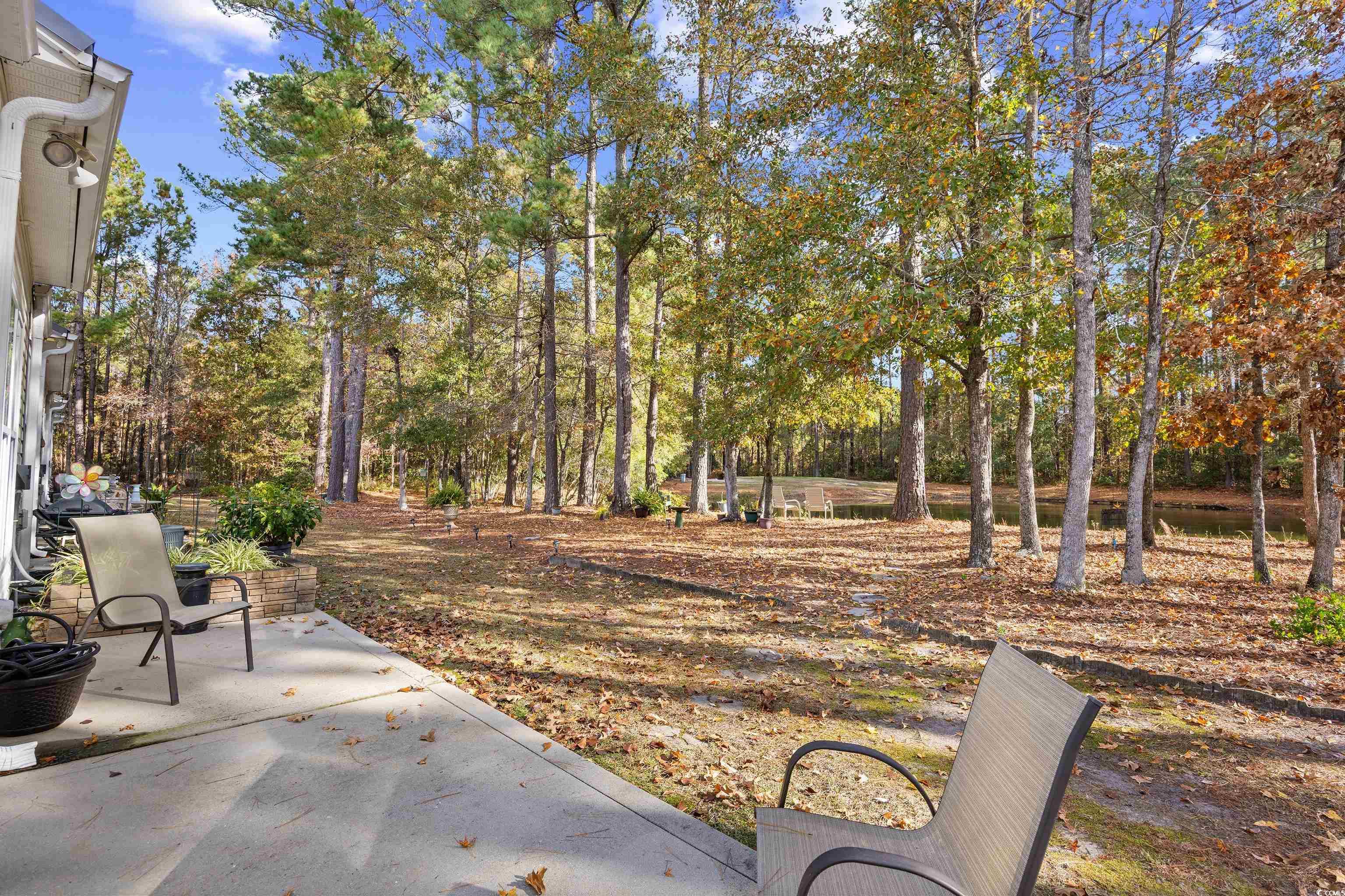 508 Colonial Trace Drive, Unit 8A Longs, SC 29568 - Photo 33 of 39