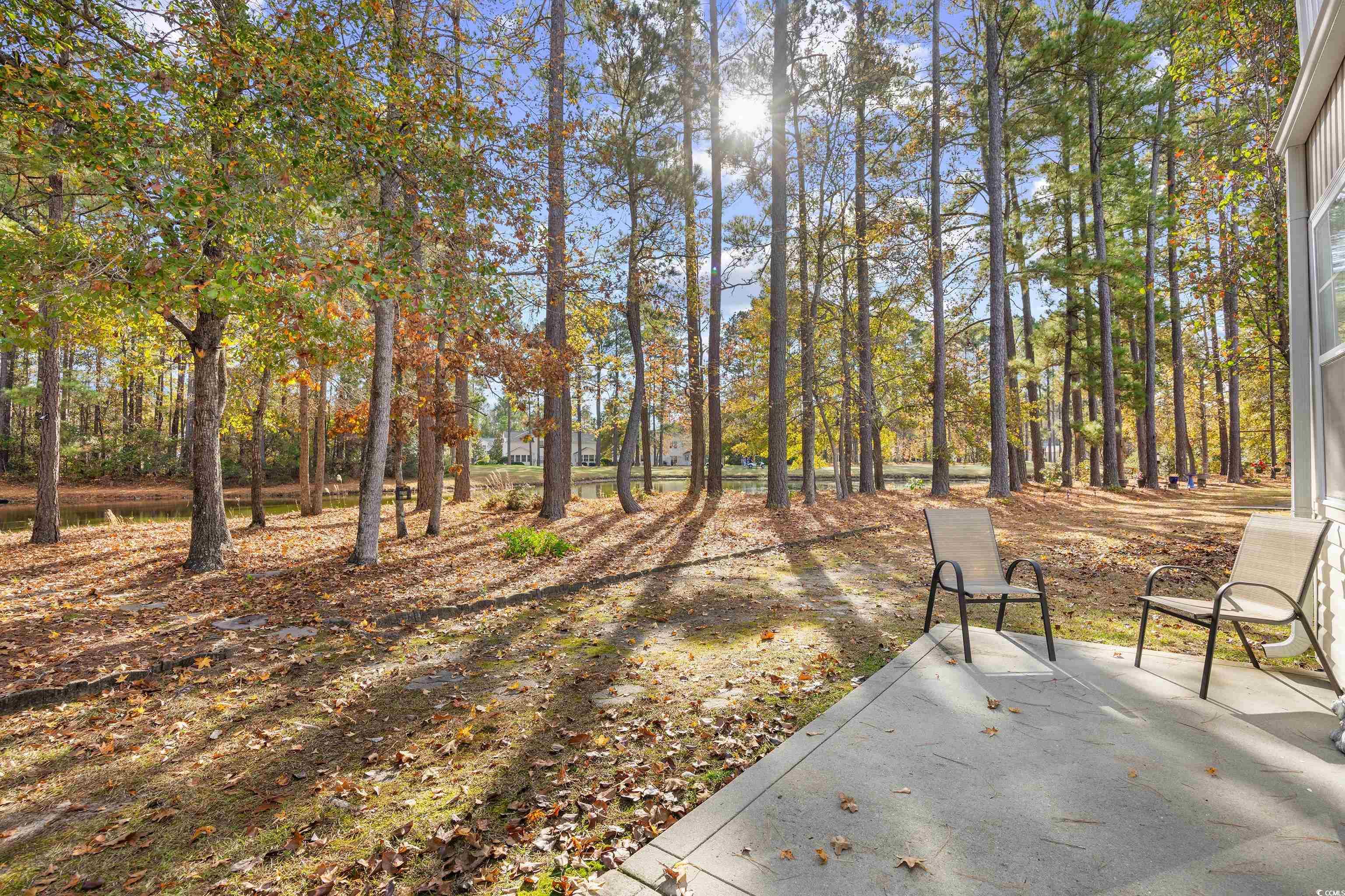 508 Colonial Trace Drive, Unit 8A Longs, SC 29568 - Photo 34 of 39