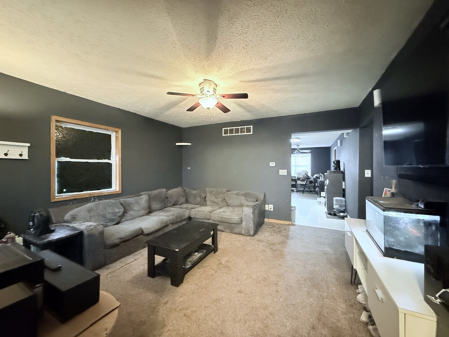 406 South Church Street Gibson City, IL 60936 - Photo 3 of 24