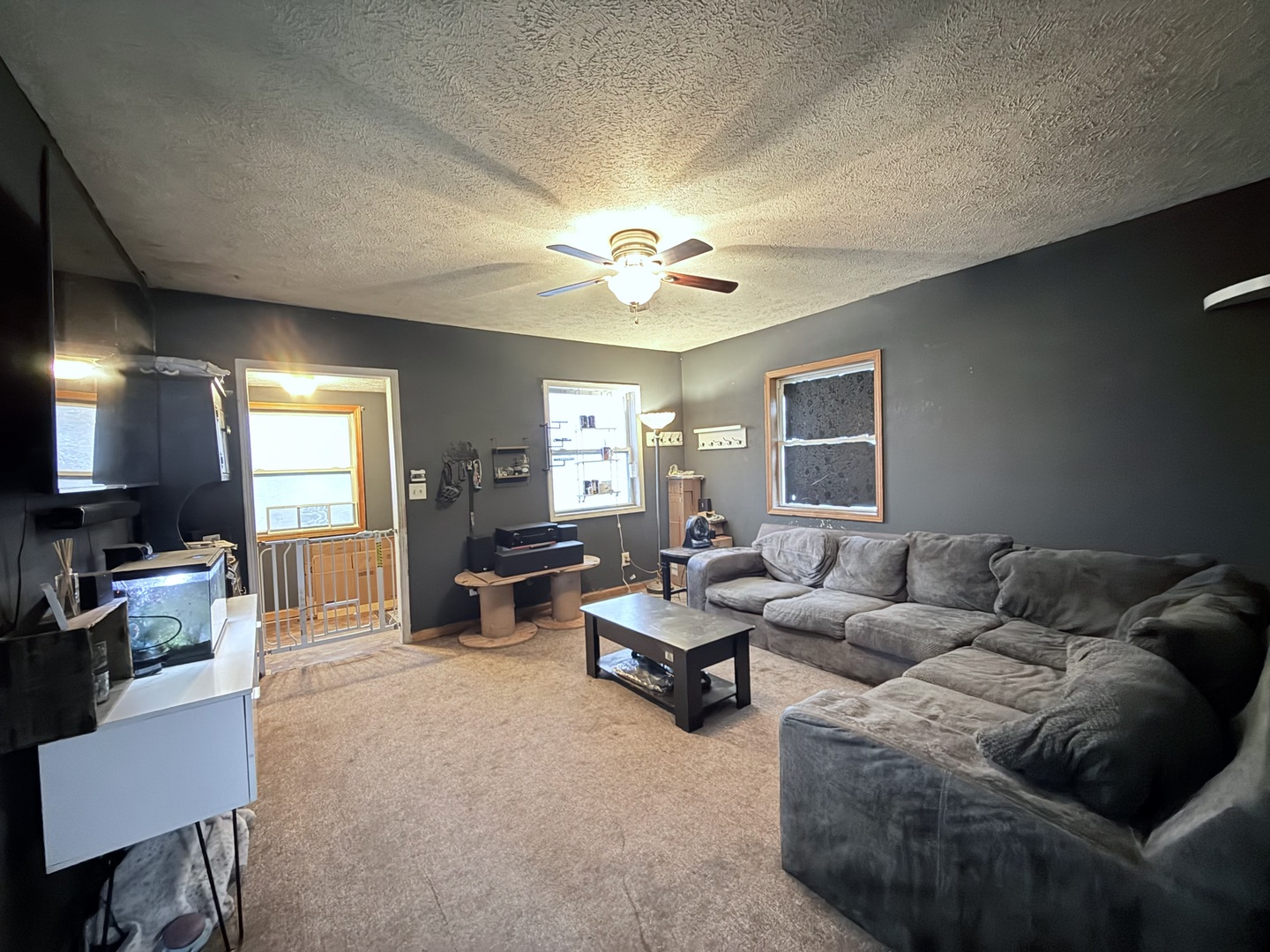 406 South Church Street Gibson City, IL 60936 - Photo 4 of 24