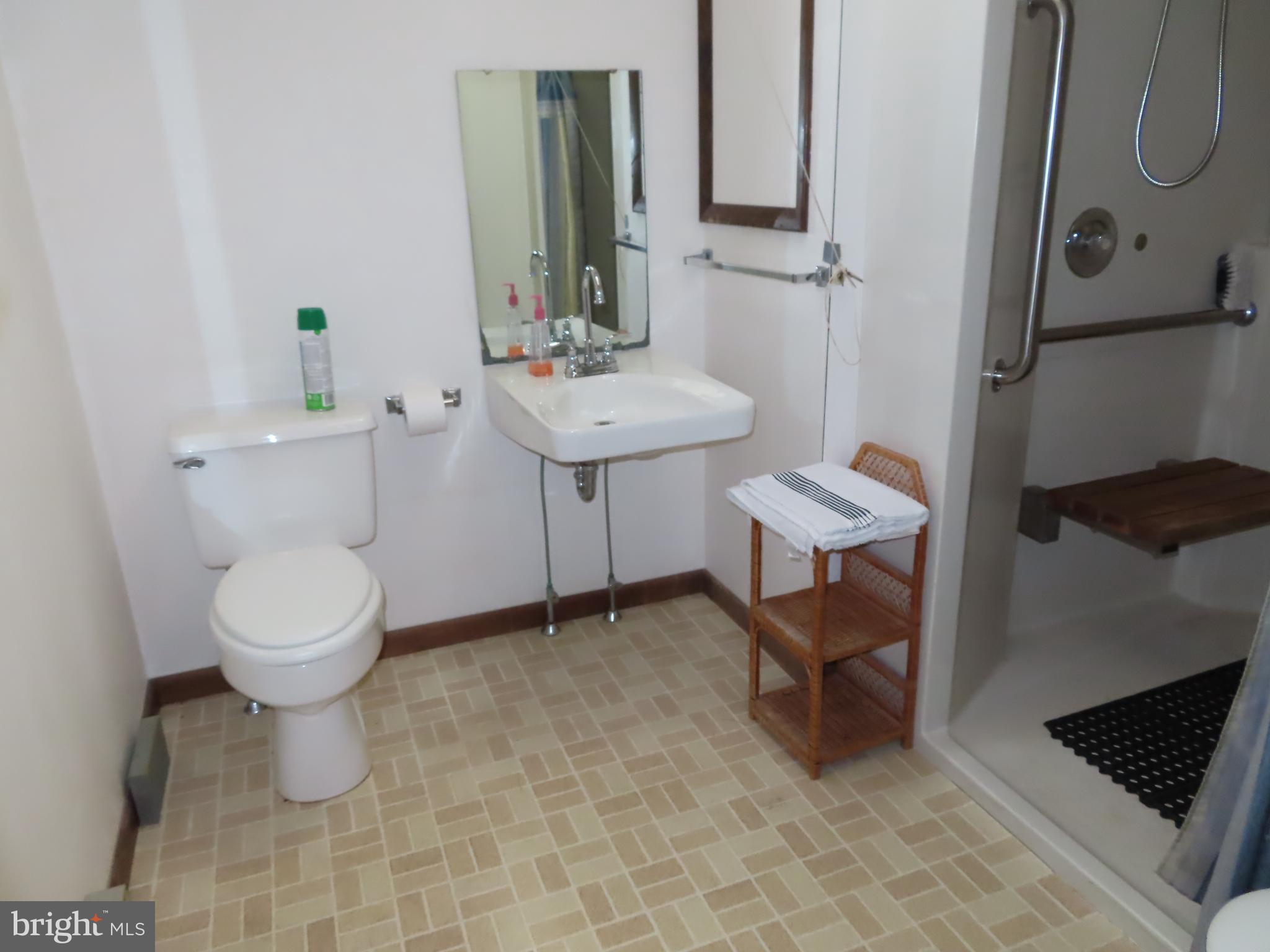 3338 Centennial Road Hanover, PA 17331 - Photo 19 of 30 a bathroom with a toilet a sink and a mirror