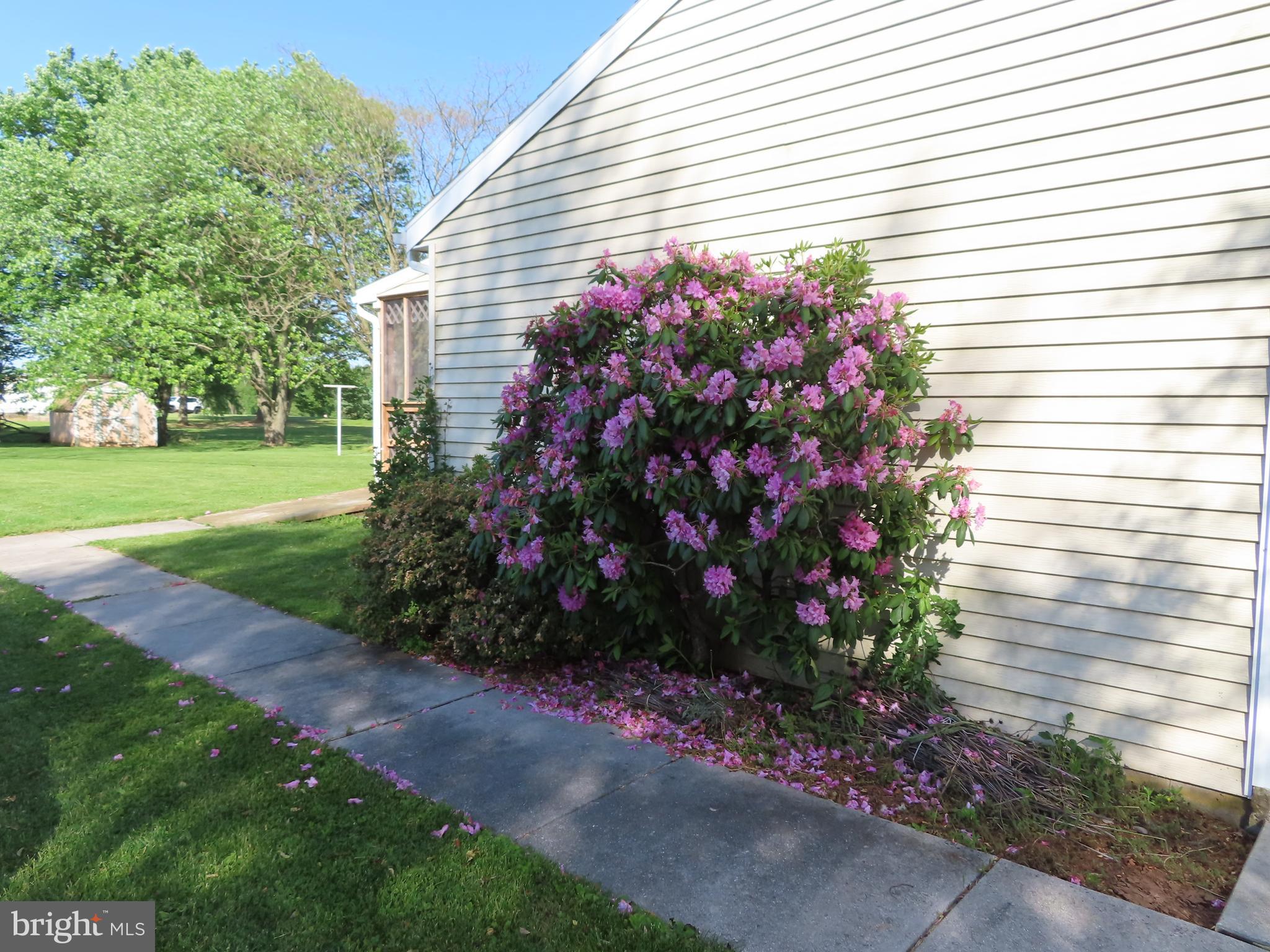 3338 Centennial Road Hanover, PA 17331 - Photo 6 of 30 a small garden and flowers in front of the house