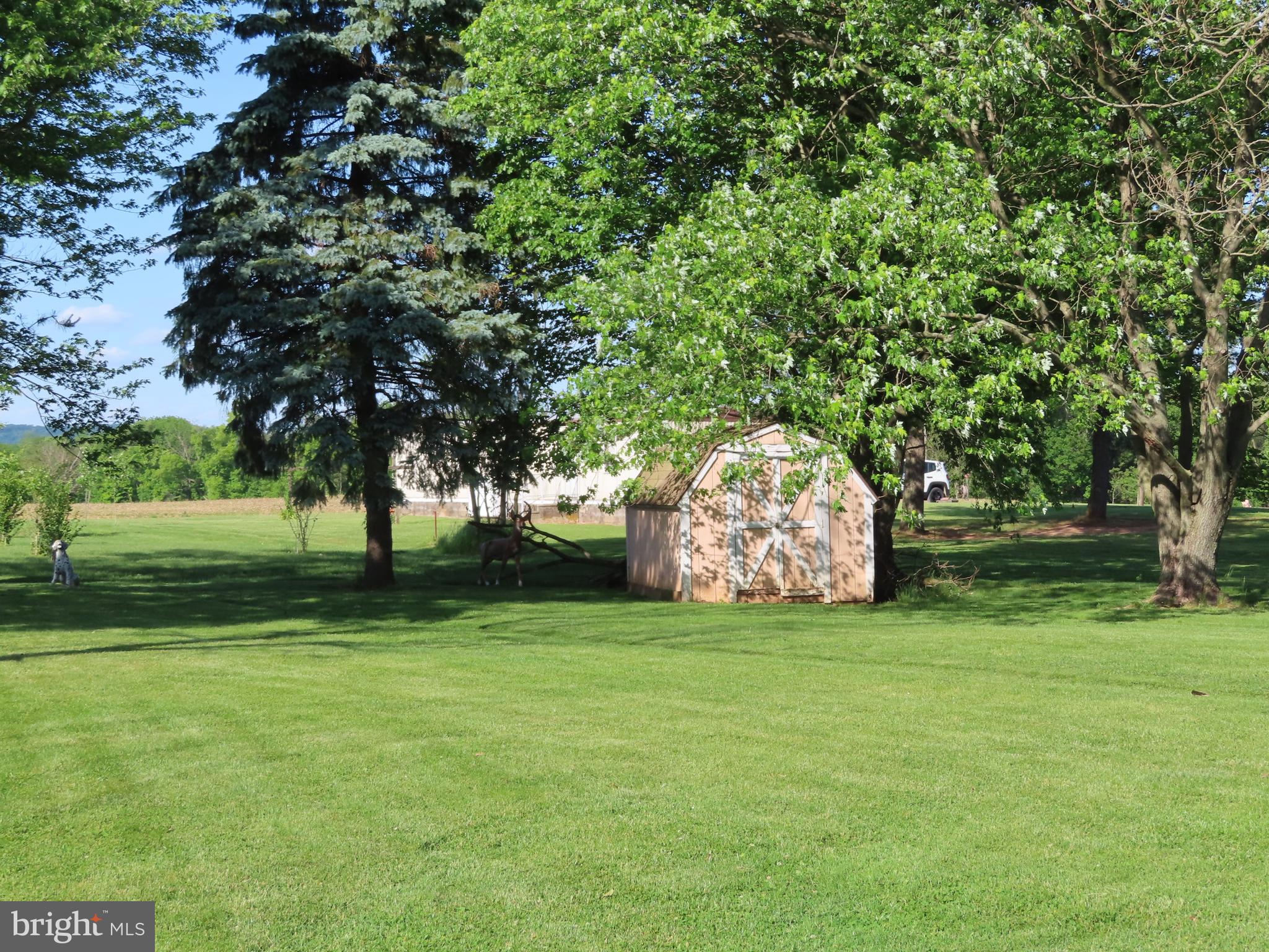 3338 Centennial Road Hanover, PA 17331 - Photo 8 of 30 a view of a trees in a yard