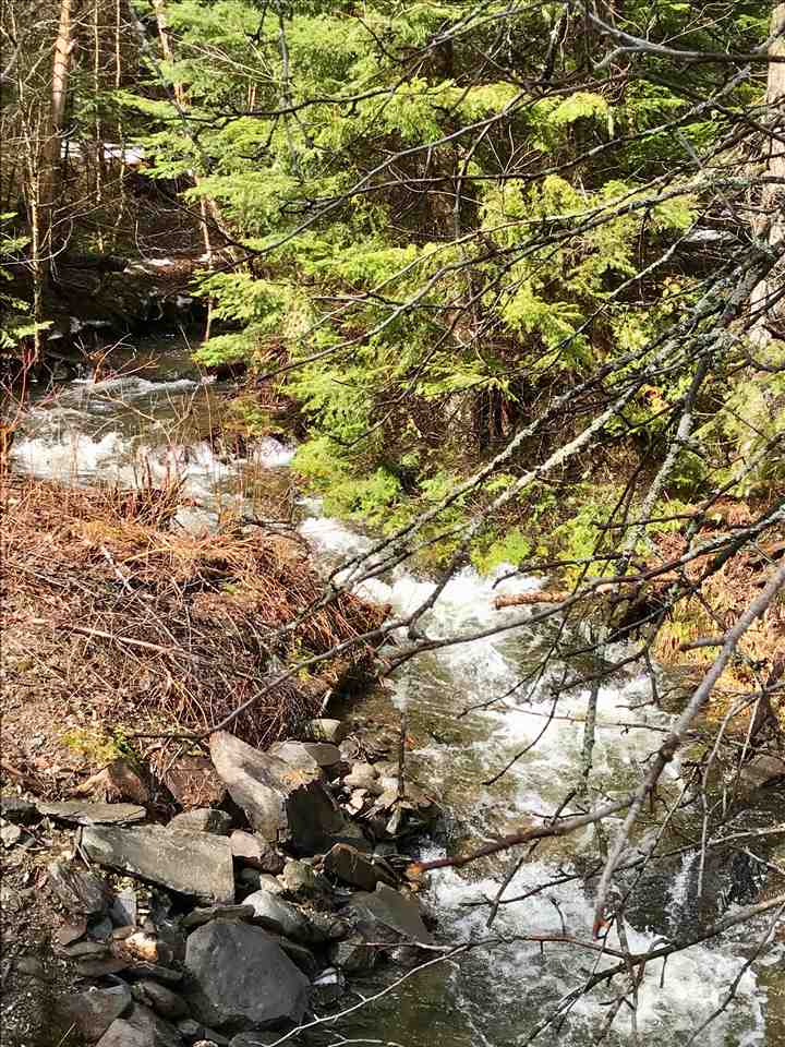 22 Crawford Road Clarksville, NH 03592 - Photo 6 of 6