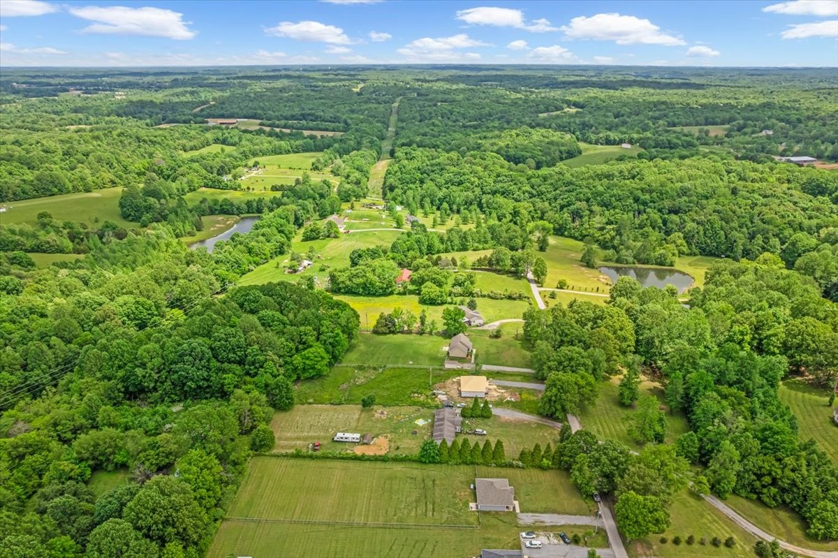 147 Ray Jent Road Bethpage, TN 37022 - Photo 41 of 47 a view of a big yard with large trees