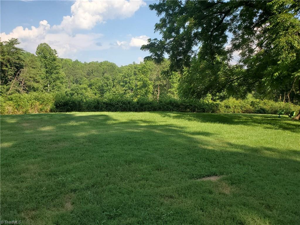 3199 Westinghouse Road Rural Hall, NC 27045 - Photo 22 of 26 Blackberry bushes