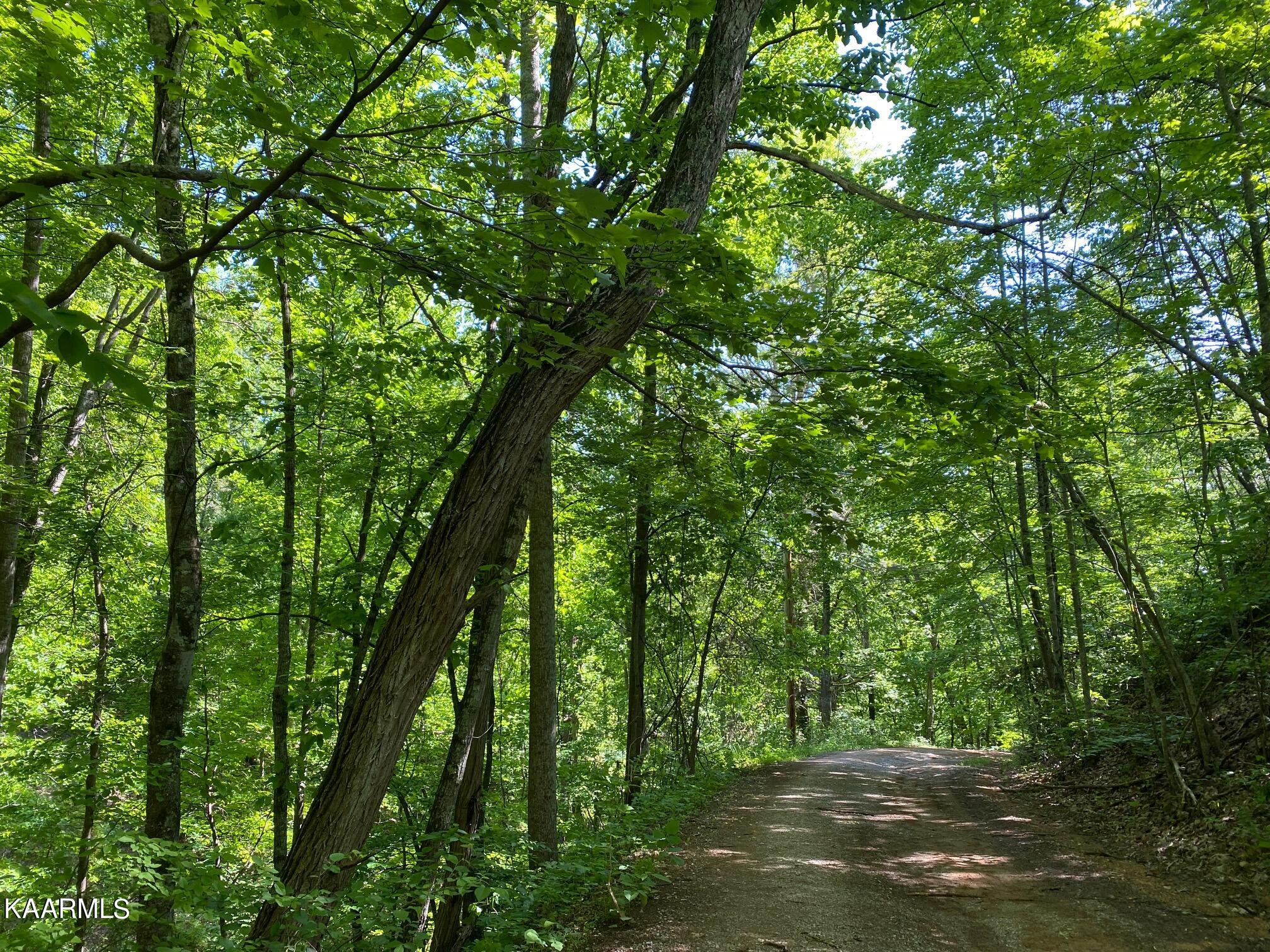 2556 Chester Mountain Road Sevierville, TN 37876 - Photo 1 of 5 IMG_0335