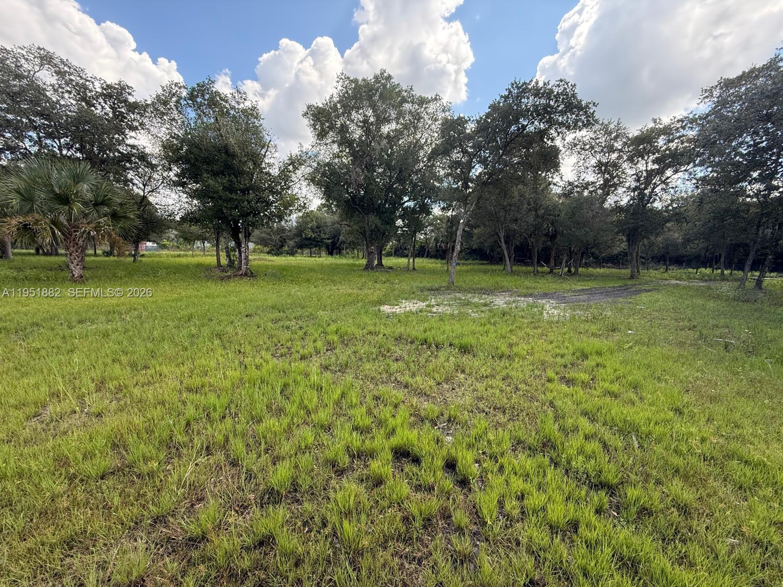260 Ave Del Centro Clewiston, FL 33440 - Photo 4 of 10 a view of a field of grass and trees