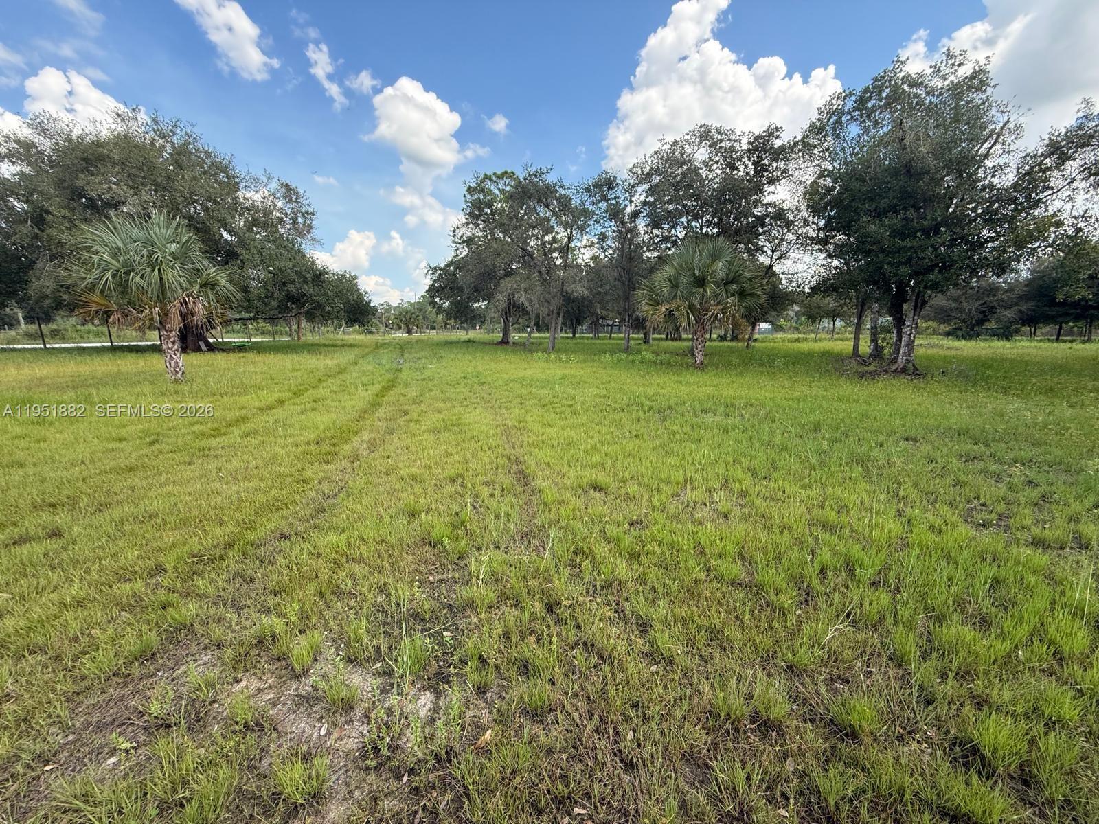260 Ave Del Centro Clewiston, FL 33440 - Photo 7 of 10 a view of garden with trees