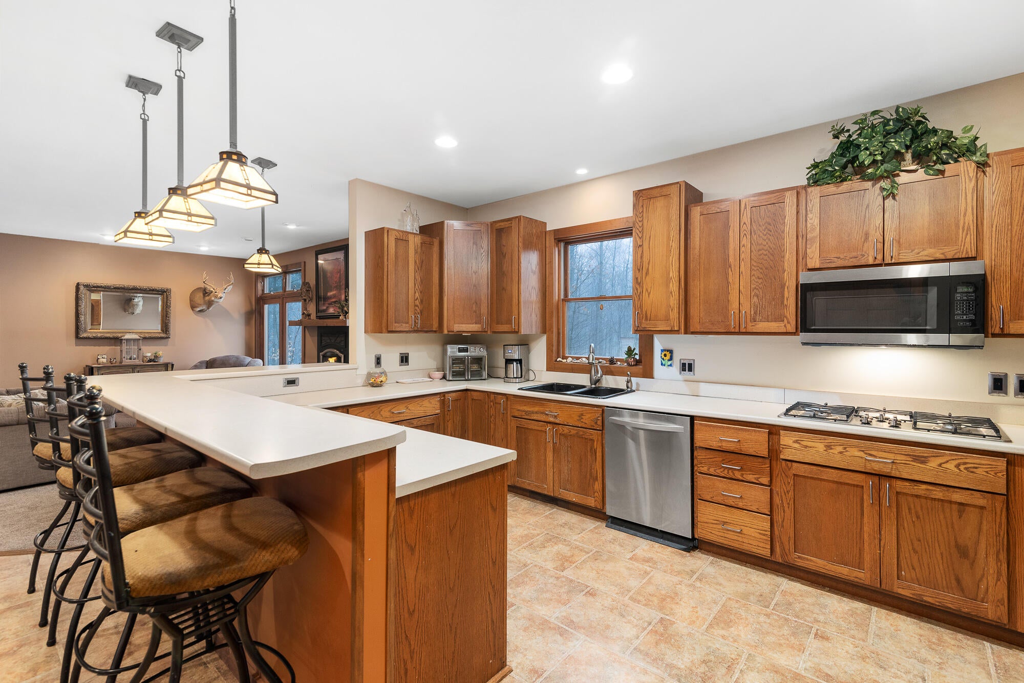 10263 Wildwood Road Alanson, MI 49706 - Photo 2 of 41 Gallery Image 2