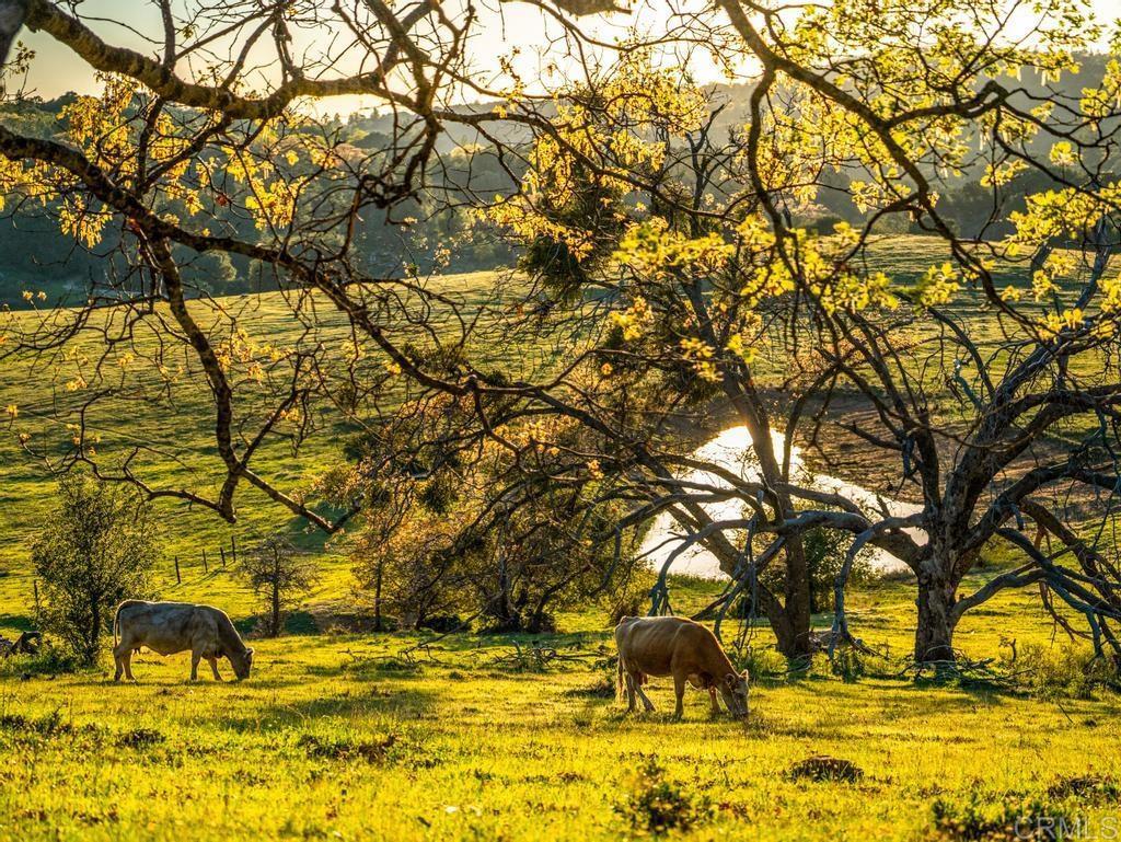 4430 Deer Lake Park Road Julian, CA 92036 - Photo 5 of 58