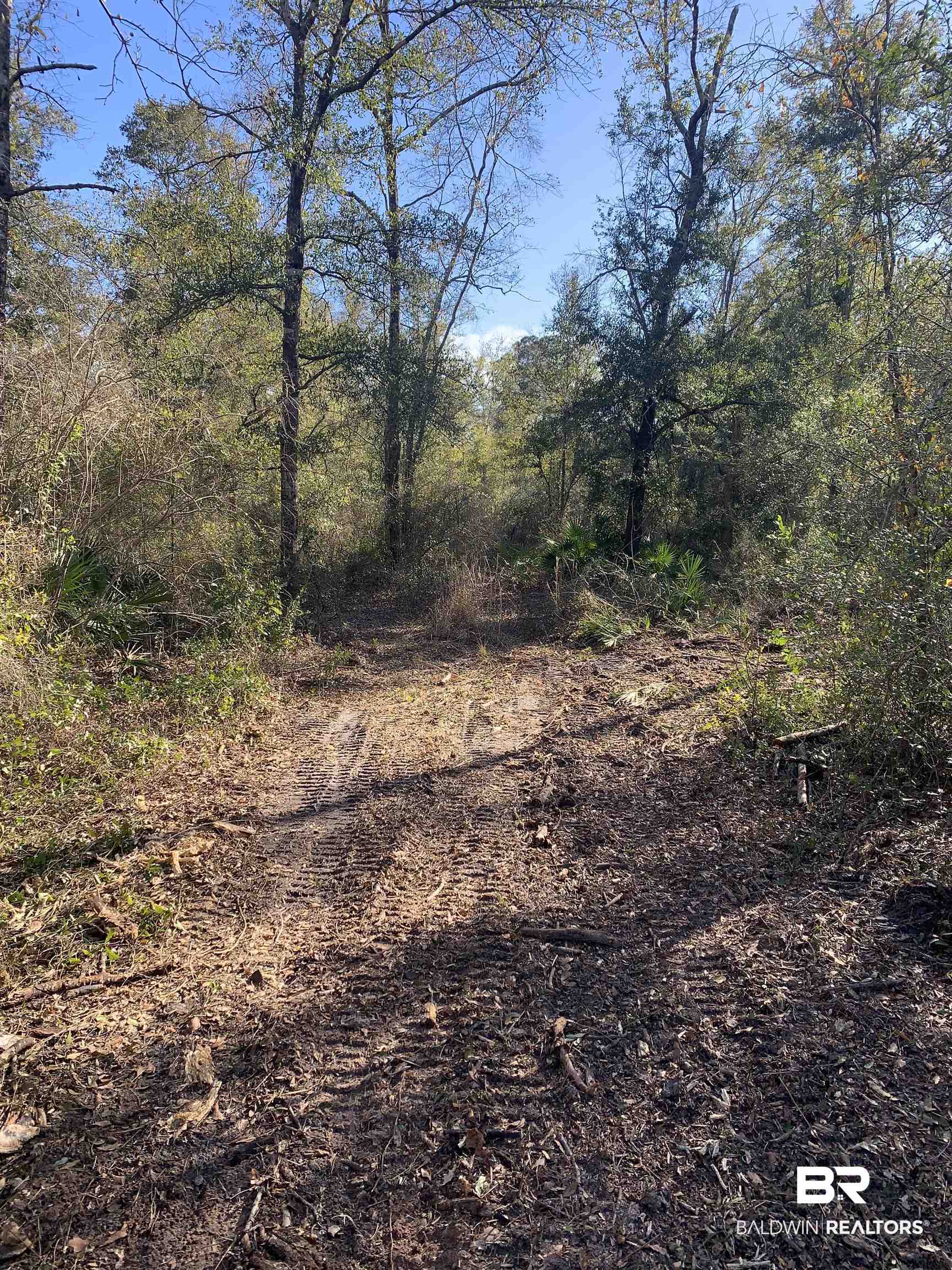 25270 Old Foley Road Elberta, AL 36530 - Photo 12 of 14