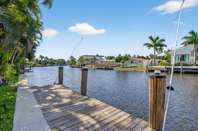 a view of a lake with boats and palm trees