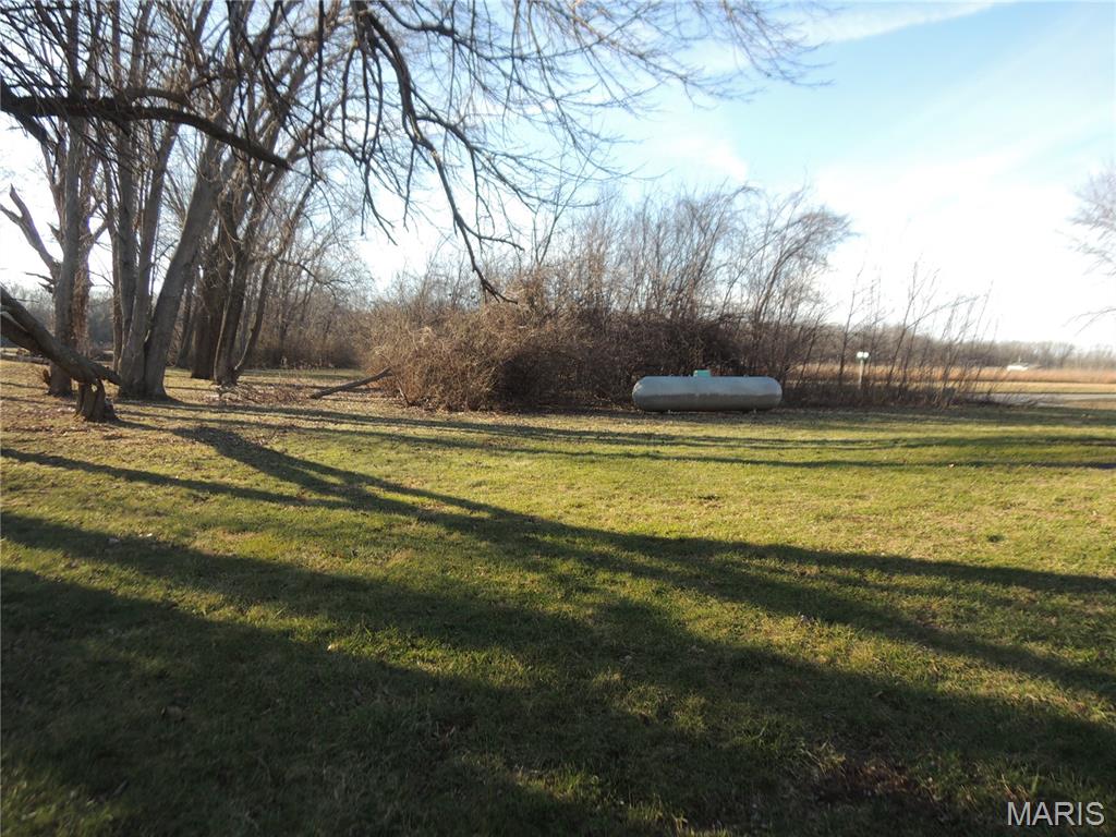 35 St Thomas Avenue Keyesport, IL 62253 - Photo 9 of 14