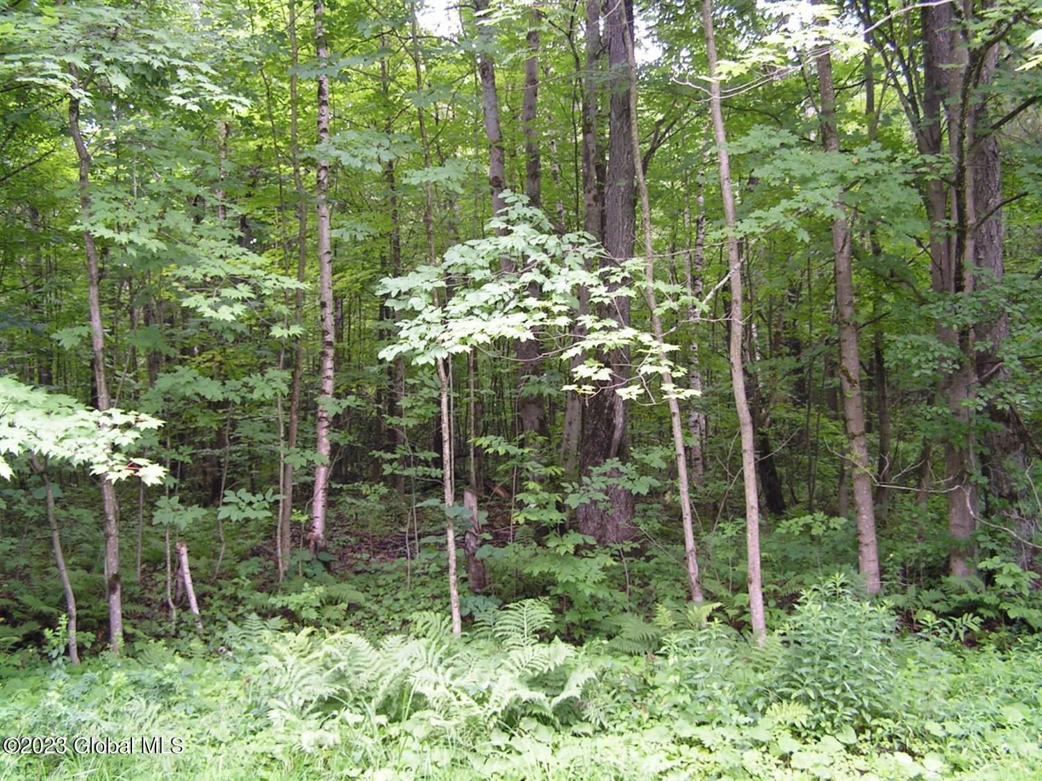 360 Mereness Road Worcester, NY 12197 - Photo 4 of 7 Carpenter-C