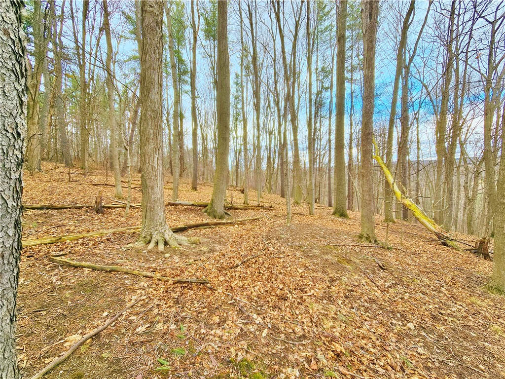 2130 Guyanoga Road Jerusalem, NY 14527 - Photo 25 of 26