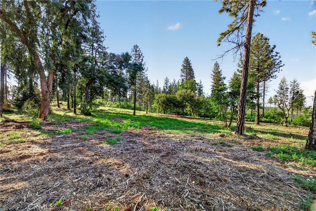 12471 Granite Ridge Road Oroville, CA 95965 - Photo 14 of 53