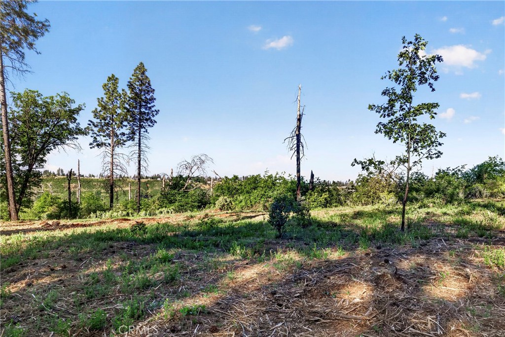 12471 Granite Ridge Road Oroville, CA 95965 - Photo 15 of 53