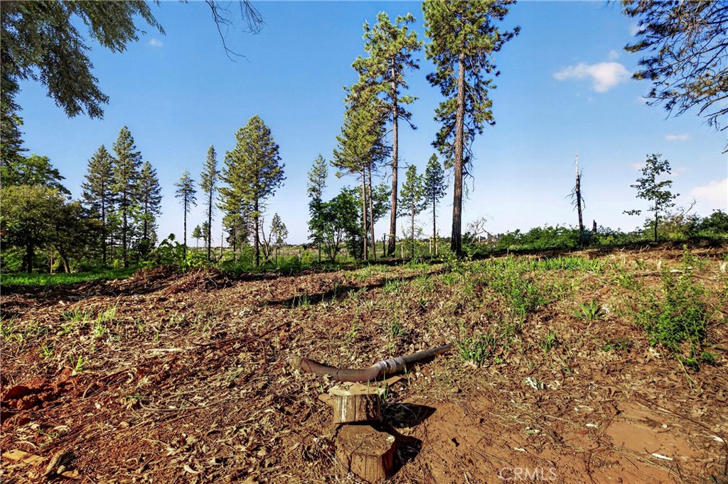 12471 Granite Ridge Road Oroville, CA 95965 - Photo 18 of 53