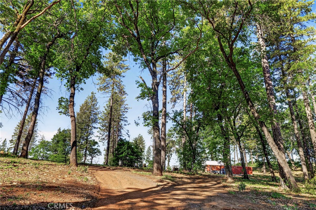 12471 Granite Ridge Road Oroville, CA 95965 - Photo 22 of 53