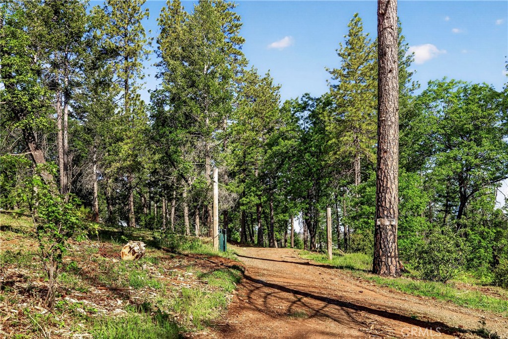 12471 Granite Ridge Road Oroville, CA 95965 - Photo 23 of 53