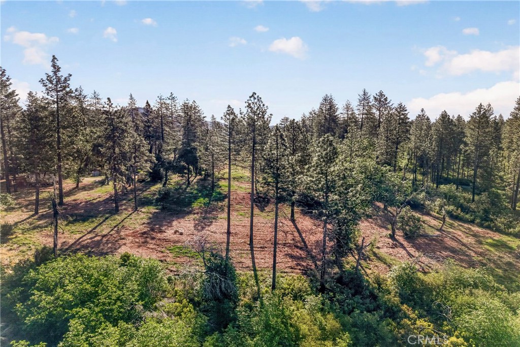 12471 Granite Ridge Road Oroville, CA 95965 - Photo 26 of 53